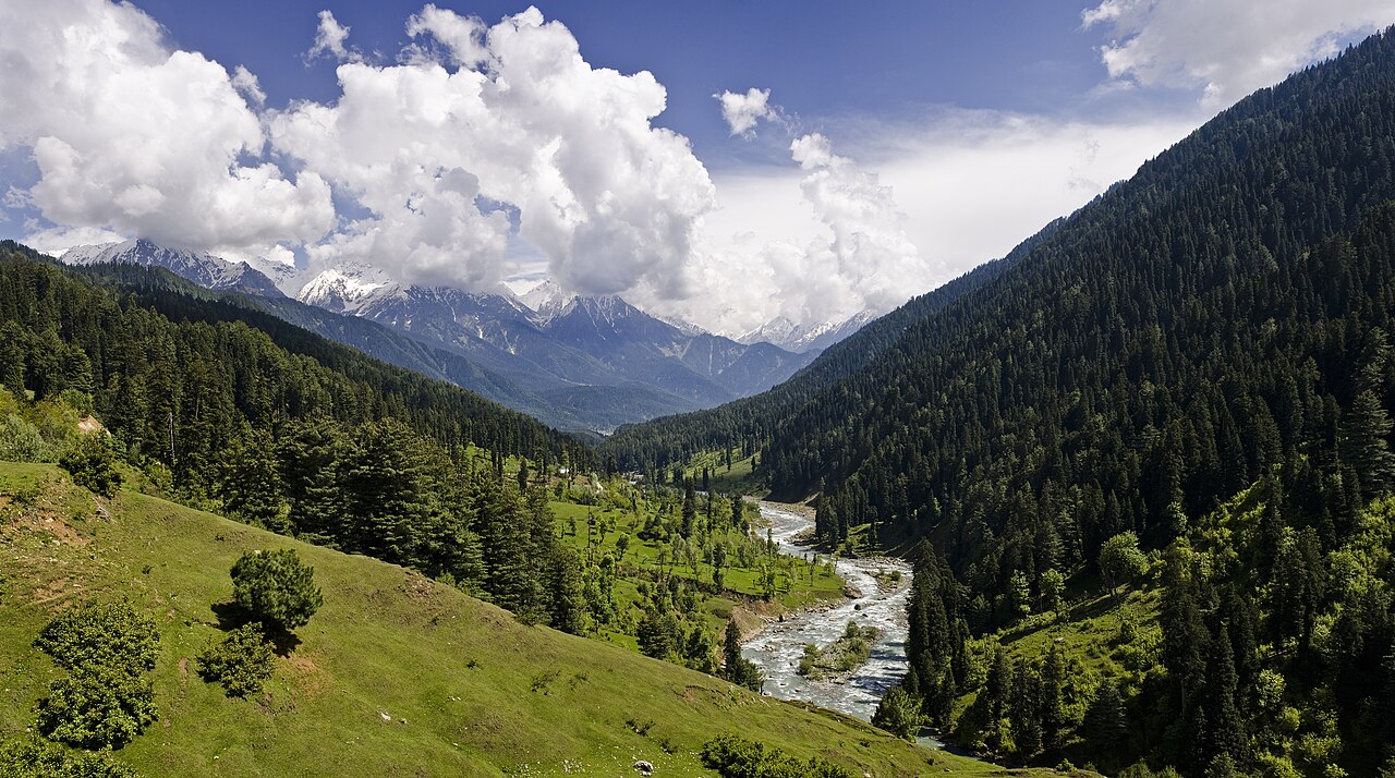Best Selling Kashmir