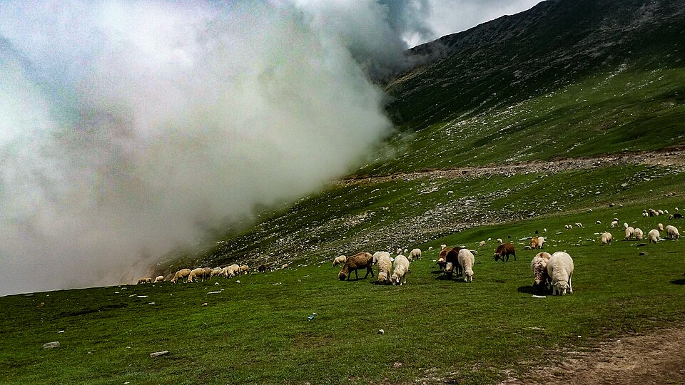 Sinthan Top Expedition | High Pass Drive