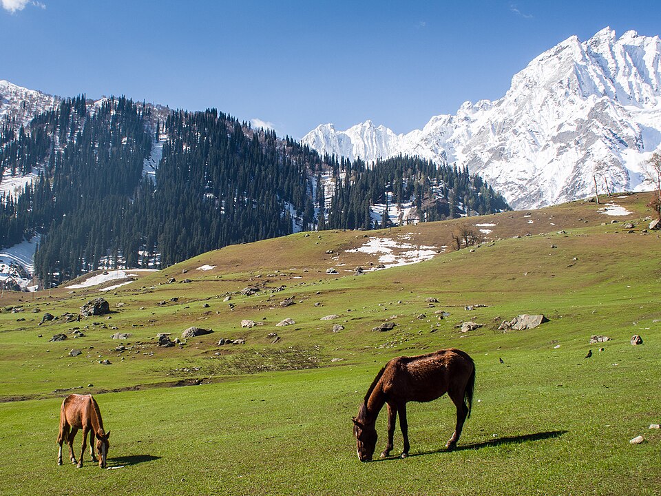 Sonamarg