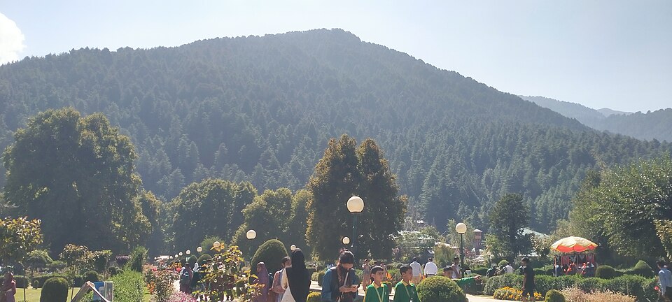 Verinag