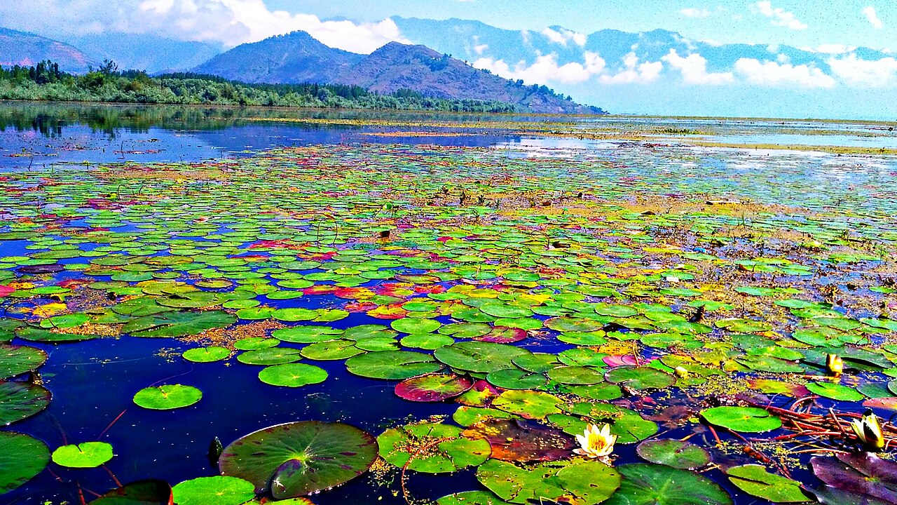 Complete Kashmir | Four Valleys Tour